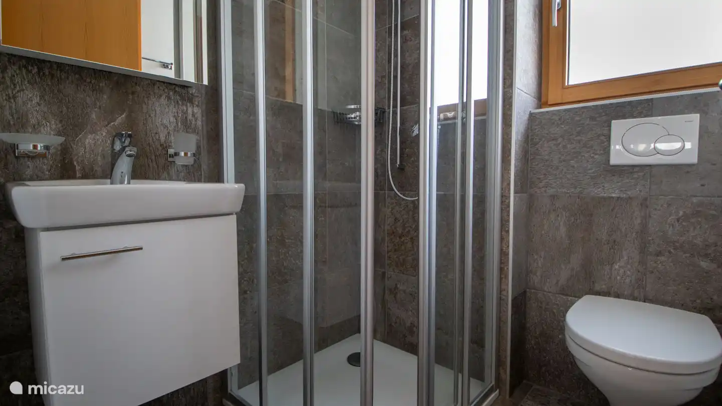 Badkamer met douche, toilet en wastafel