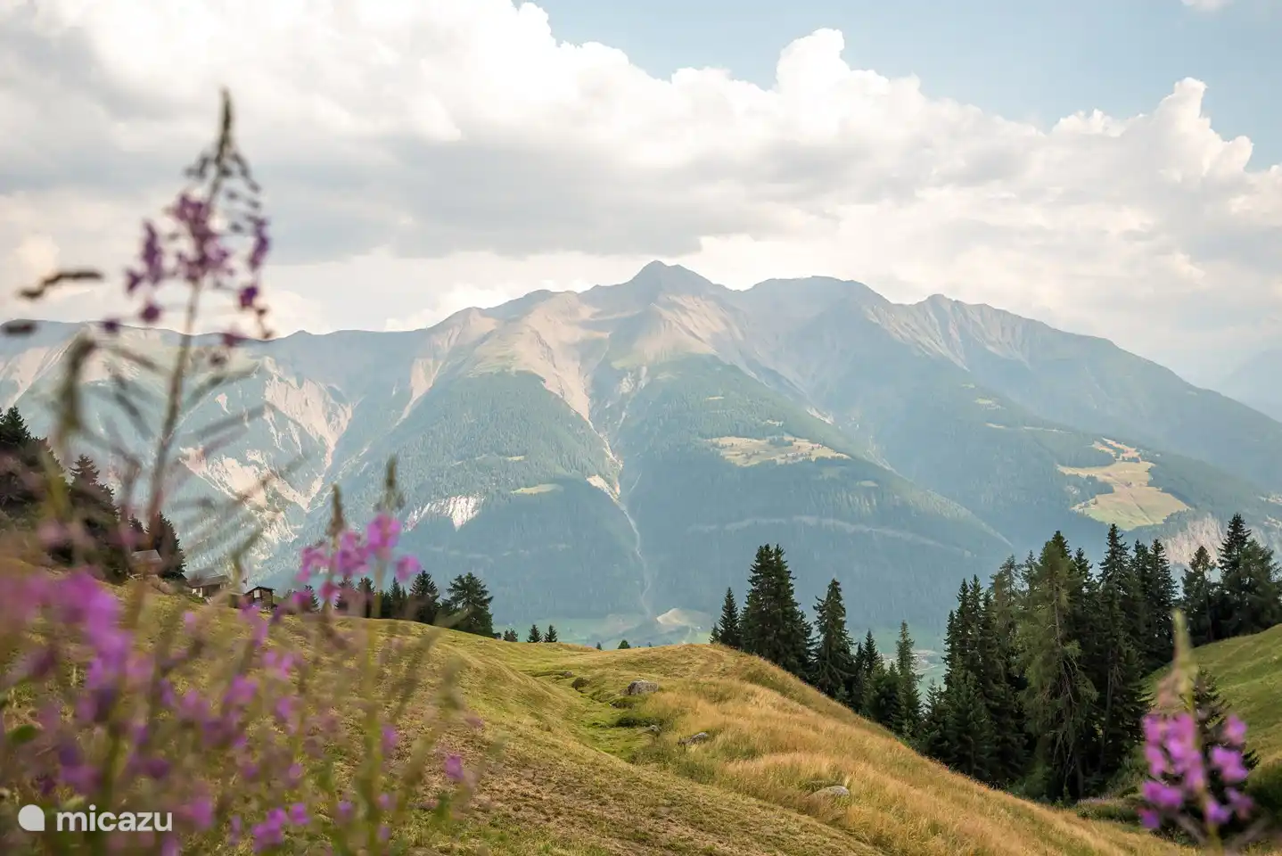 Zonnige hoogvlakte met schitterend uitzicht op de Walliser bergen