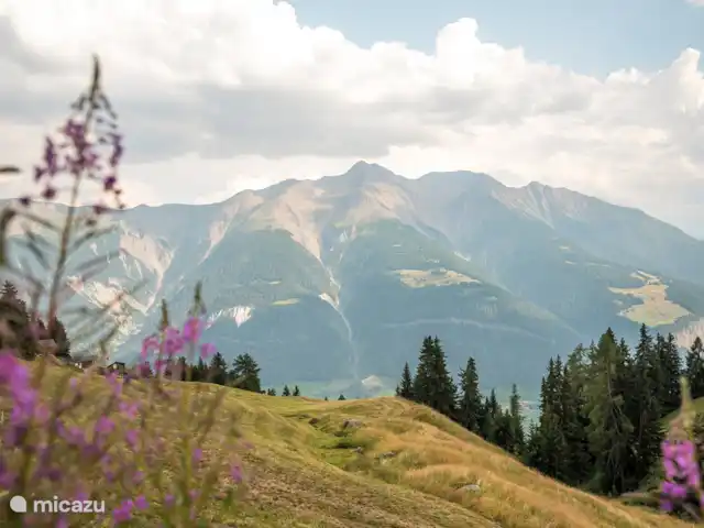 Sunnestrahl | Suisse, Valais, Bettmeralp - appartement Plateau ensoleillé avec une vue magnifique sur les montagnes valaisannes
