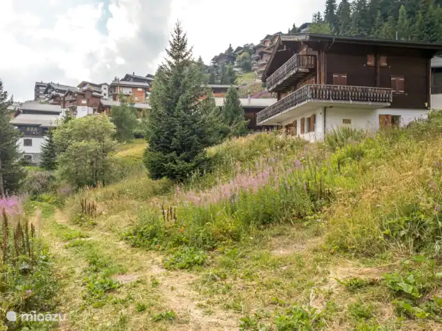 Sunnestrahl | Suisse, Valais, Bettmeralp - appartement Situé au calme à la périphérie de Bettmeralp - à environ 15 minutes à pied de la station supérieure du téléphérique.
En hiver, vous pouvez rejoindre le téléski Alpmatten après environ 200 m. L'ascenseur incliné pour les personnes se trouve également à environ 300 m du chalet.
Sur le chemin du retour, vous pouvez skier jusqu'au chalet