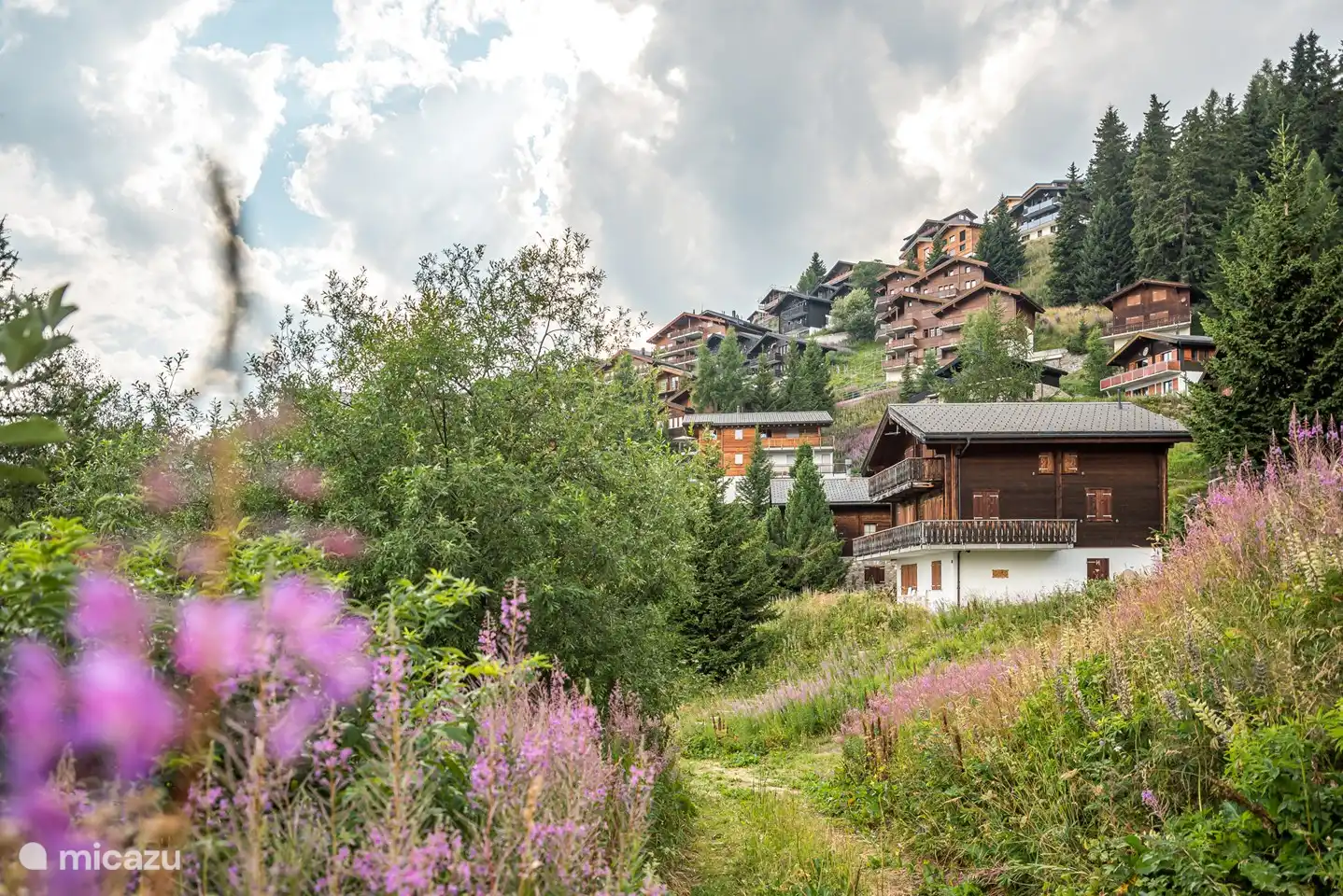 Rustig gelegen aan de rand van Bettmeralp - ca. 15 minuten lopen van het bergstation van de kabelbaan.

In de winter bereikt u de skilift Alpmatten na ca. 200 m. De schuine personenlift bevindt zich eveneens op ca. 300 m van het chalet.

Op de terugweg ski je terug naar het chalet