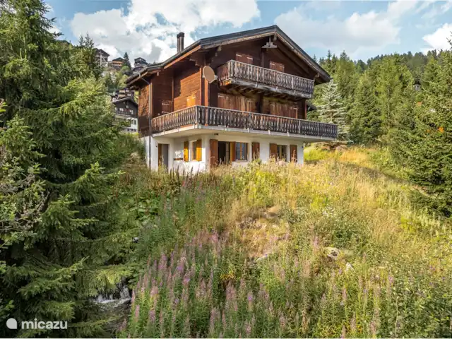 Sunnestrahl | Suisse, Valais, Bettmeralp - appartement Situé au calme à la périphérie de Bettmeralp - à environ 15 minutes à pied de la station supérieure du téléphérique.
En hiver, vous pouvez rejoindre le téléski Alpmatten après environ 200 m. L'ascenseur incliné pour les personnes se trouve également à environ 300 m du chalet.
Sur le chemin du retour, vous pouvez skier jusqu'au chalet