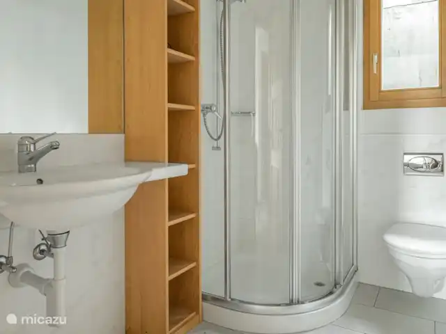 Sunnestrahl | Suisse, Valais, Bettmeralp - appartement Salle de bain avec douche/toilette/lavabo