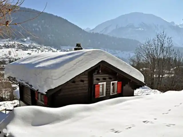 Location de Vacances Suisse, Valais, Fiesch, chalet - Maxima Location de Vacances Suisse, Valais, Fiesch, chalet - Maxima