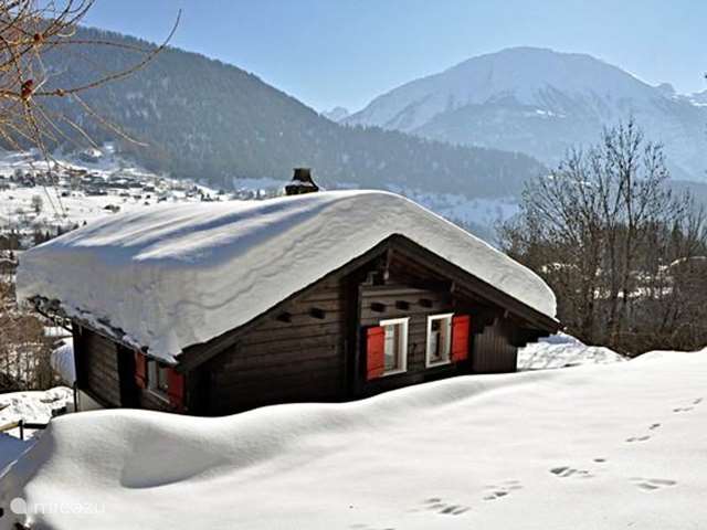 Holiday home in Switzerland, Wallis, Fiesch – chalet Maxima