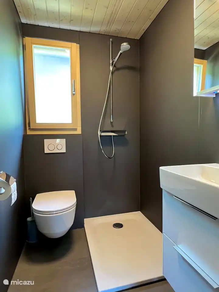 Cuarto de baño con inodoro/ducha