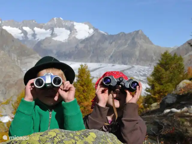 Location de Vacances Suisse, Valais, Fiesch, chalet - Maxima Randonnée