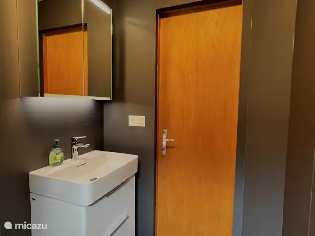 Location de Vacances Suisse, Valais, Fiesch, chalet - Maxima Salle de bain avec WC/douche