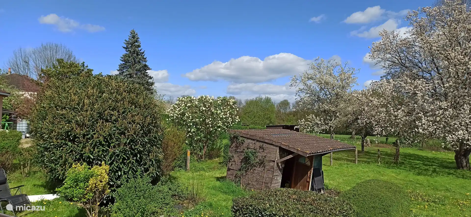 Jardín de primavera