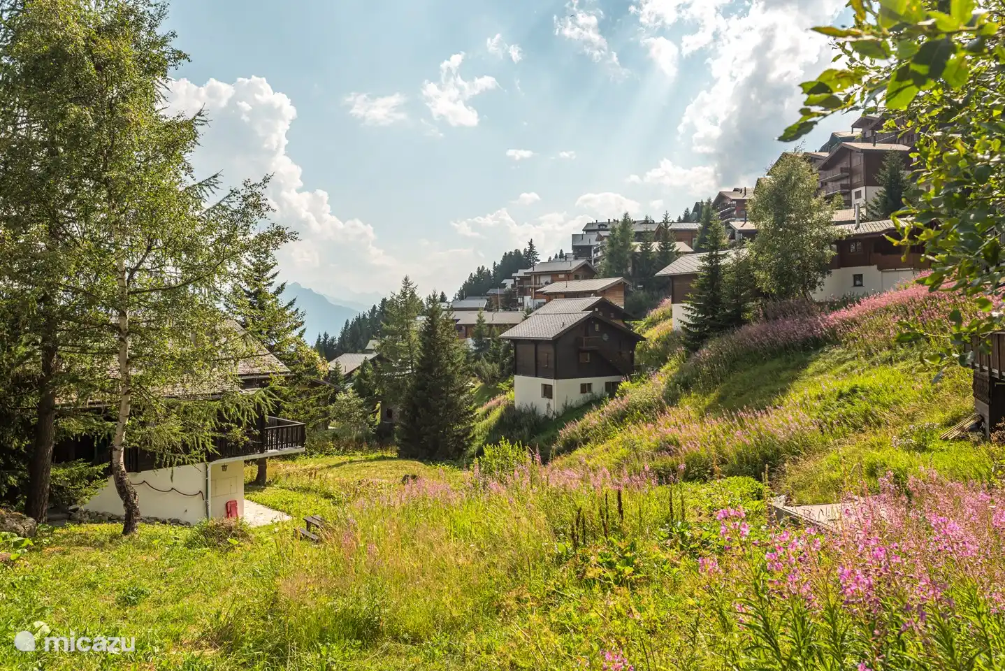 Aux autres saisons, les enfants jouent autour de la maison tandis que les adultes profitent du panorama montagneux sur la terrasse ou le balcon entièrement équipé. De nombreux invités adultes ont également revécu leur enfance dans l'idyllique Hausbach.