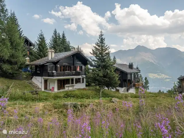 Location de Vacances Suisse, Valais, Bettmeralp, appartement - Jadwiga Parterre Vous pouvez rejoindre rapidement le centre du village car nous sommes situés à proximité de l'ascenseur incliné qui va au centre.