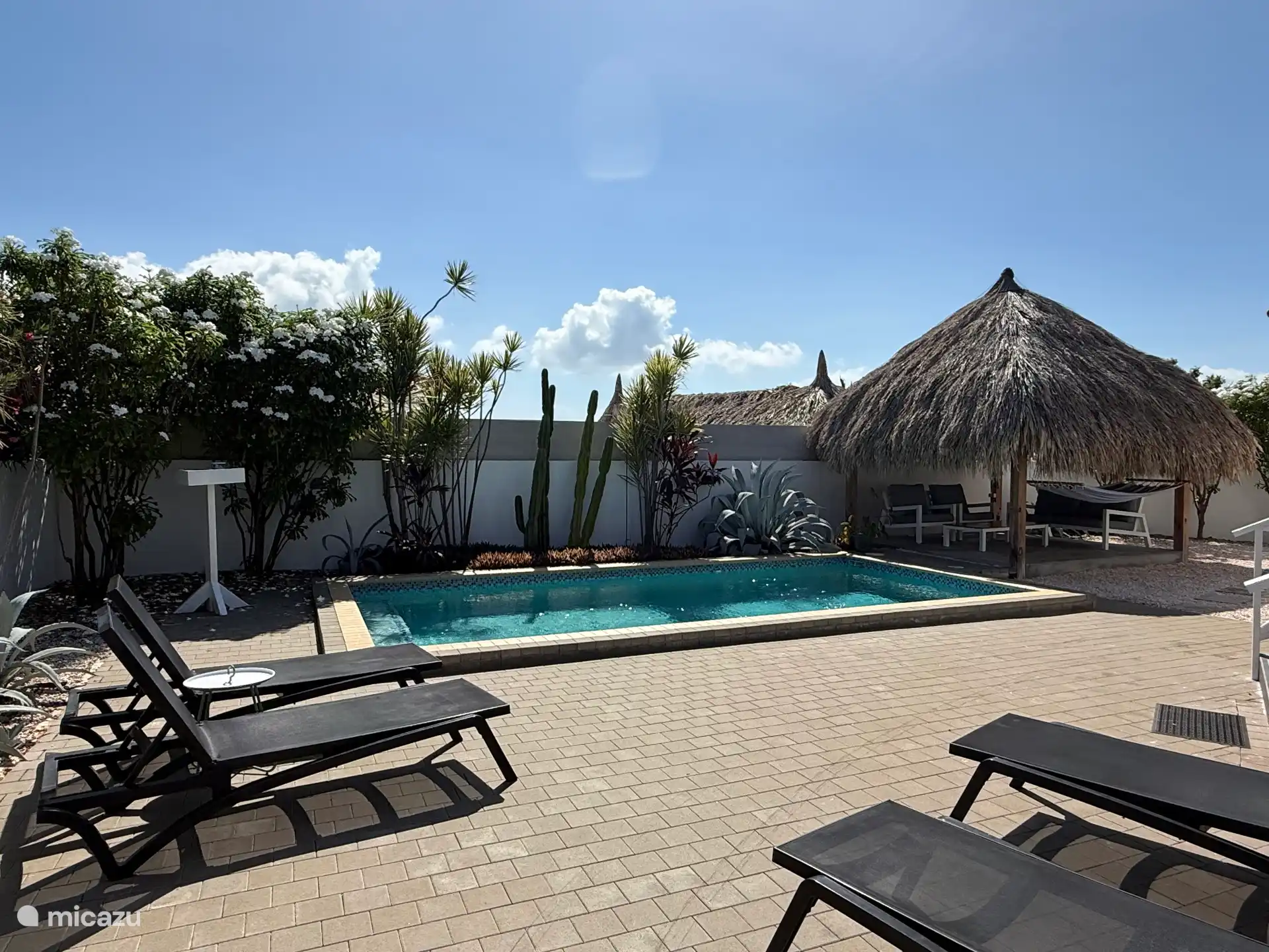 Villa Cas Curadise Poolback