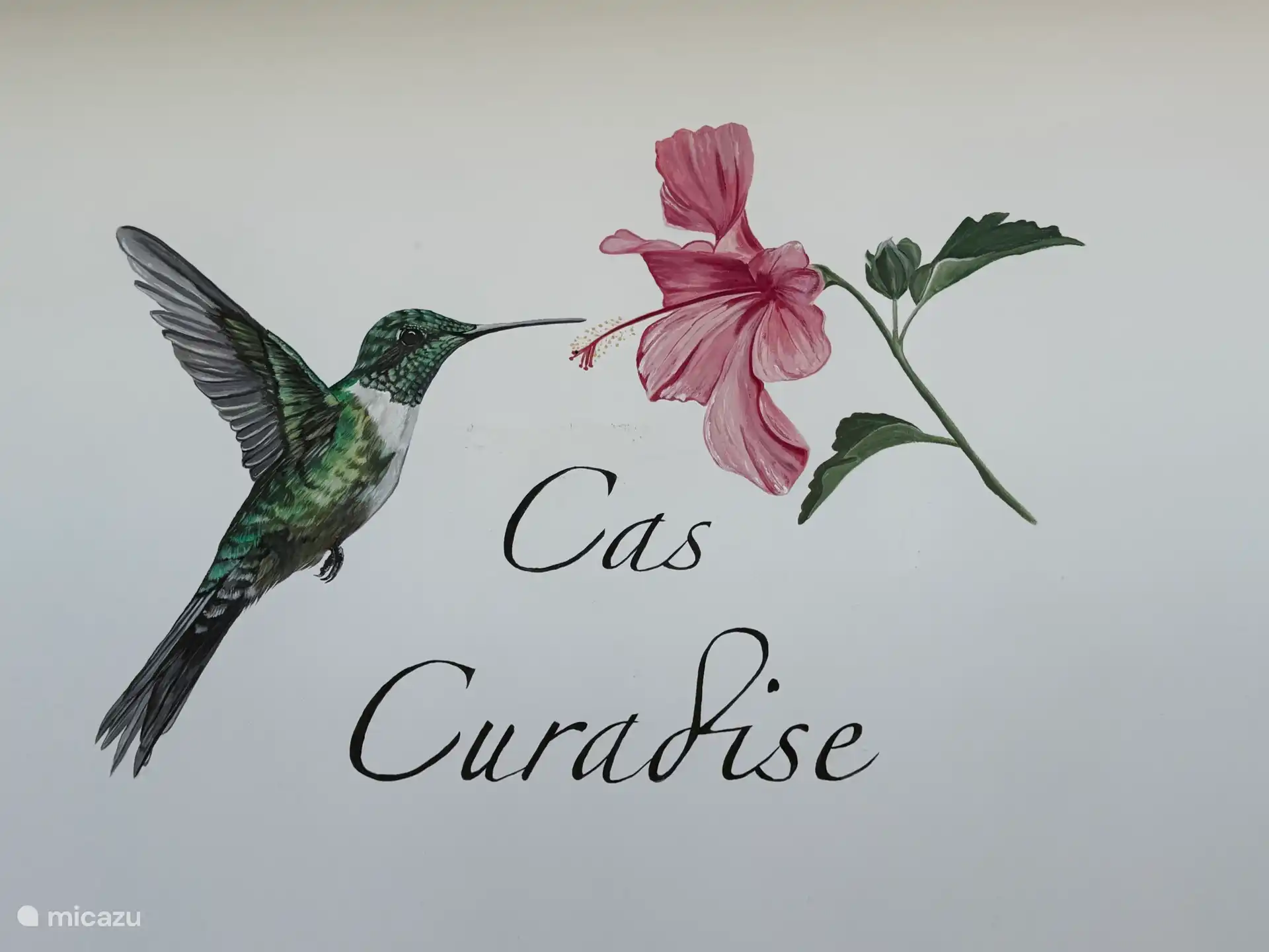 Cas Curadise 