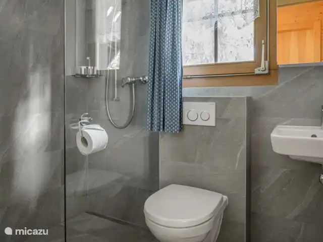 Location de Vacances Suisse, Valais, Bettmeralp, appartement - Jadwiga OG Salle de bain rénovée avec douche, lavabo et WC