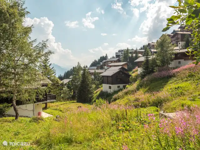 Location de Vacances Suisse, Valais, Bettmeralp, appartement - Jadwiga OG Aux autres saisons, les enfants jouent autour de la maison tandis que les adultes profitent du panorama montagneux sur la terrasse ou le balcon entièrement équipé. De nombreux invités adultes ont également revécu leur enfance dans l'idyllique Hausbach.