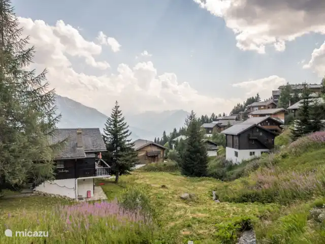 Location de Vacances Suisse, Valais, Bettmeralp, appartement - Jadwiga OG Vous pouvez rejoindre rapidement le centre du village car nous sommes situés à proximité de l'ascenseur incliné qui va au centre.