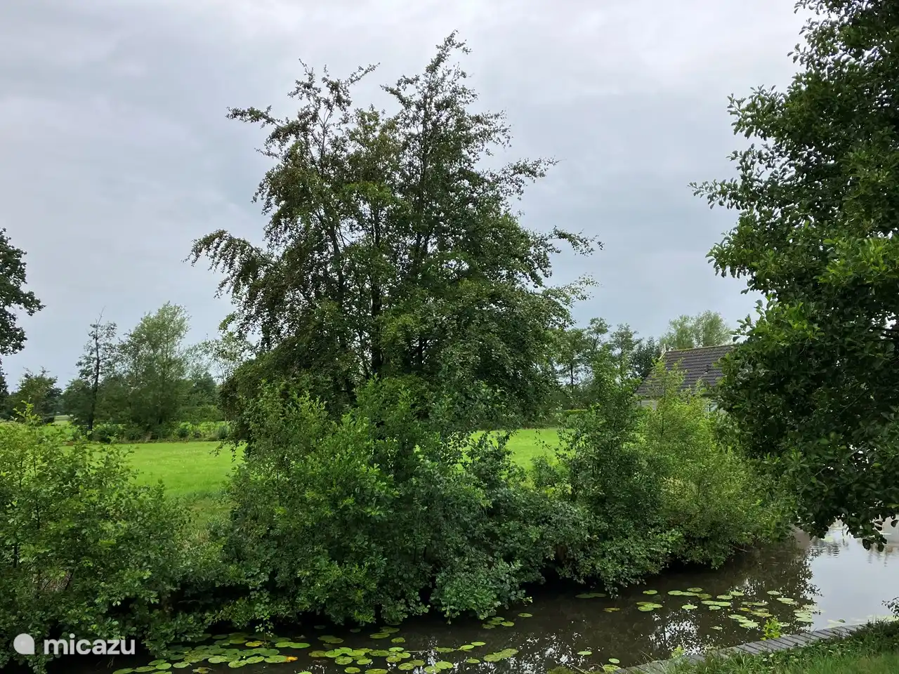 Blick vom Seitendeck