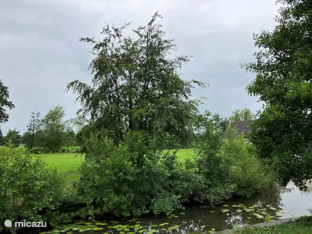 Fietsen, Nederland, Friesland, Oudwoude, bungalow De kolibrie Uitzicht vanaf de zijvlonder