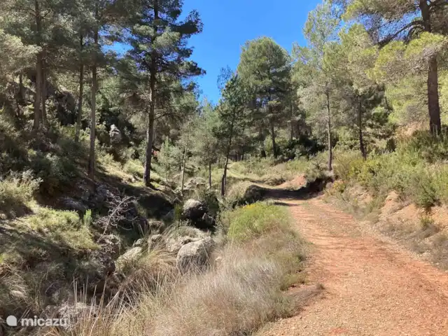 Location de Vacances Espagne, Valence, Ayora, finca - Anca Ayora endroit magique @