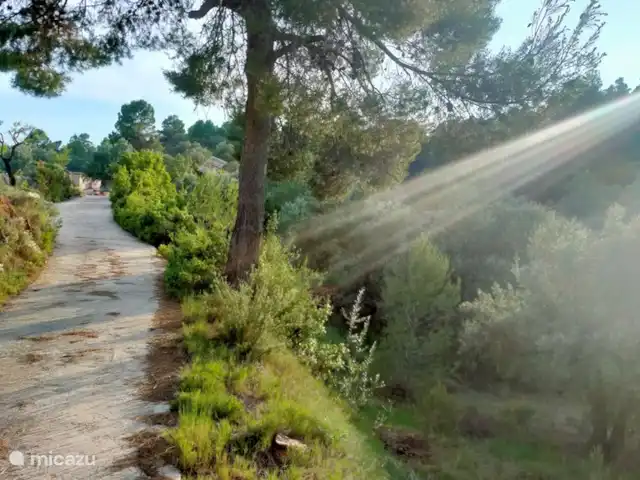Location de Vacances Espagne, Valence, Ayora, finca - Anca Ayora Anca Ayora rayonnante