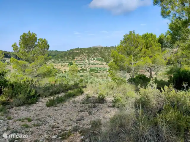 Location de Vacances Espagne, Valence, Ayora, finca - Anca Ayora Anca Ayora de loin....