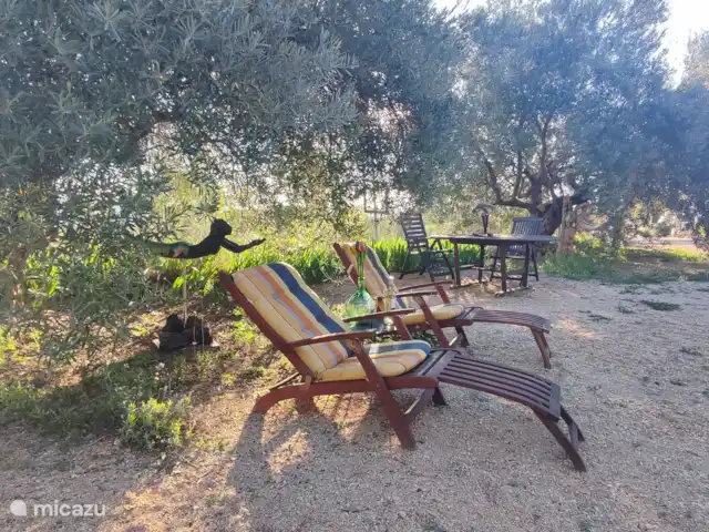 Location de Vacances Espagne, Valence, Ayora, finca - Anca Ayora
