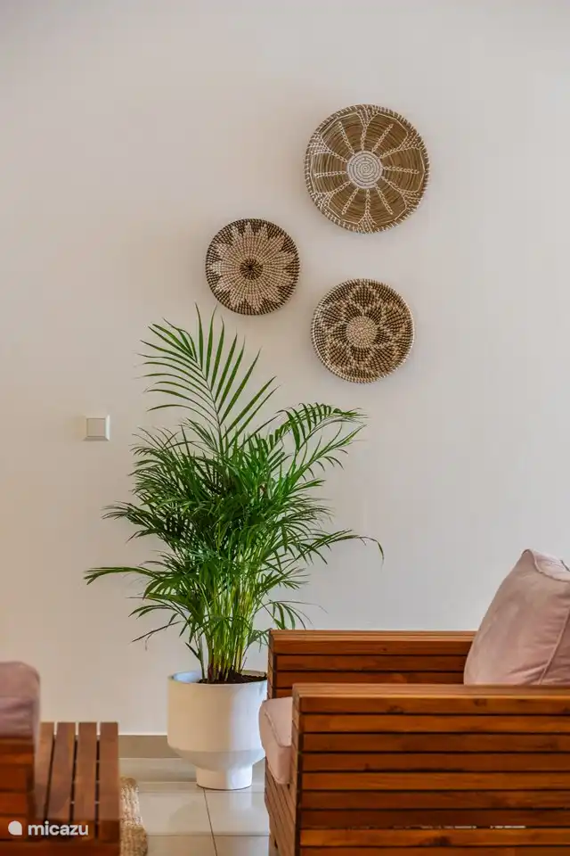 Coin salon confortable et douillet avec ventilateur de plafond et une télévision sur laquelle vous pouvez facilement diffuser vos programmes préférés.