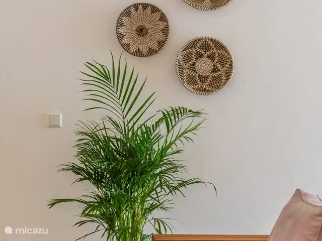Casa del Viento Curaçao  | Curaçao, Banda Ariba (est), Cas Grandi - appartement Coin salon confortable et douillet avec ventilateur de plafond et une télévision sur laquelle vous pouvez facilement diffuser vos programmes préférés.
