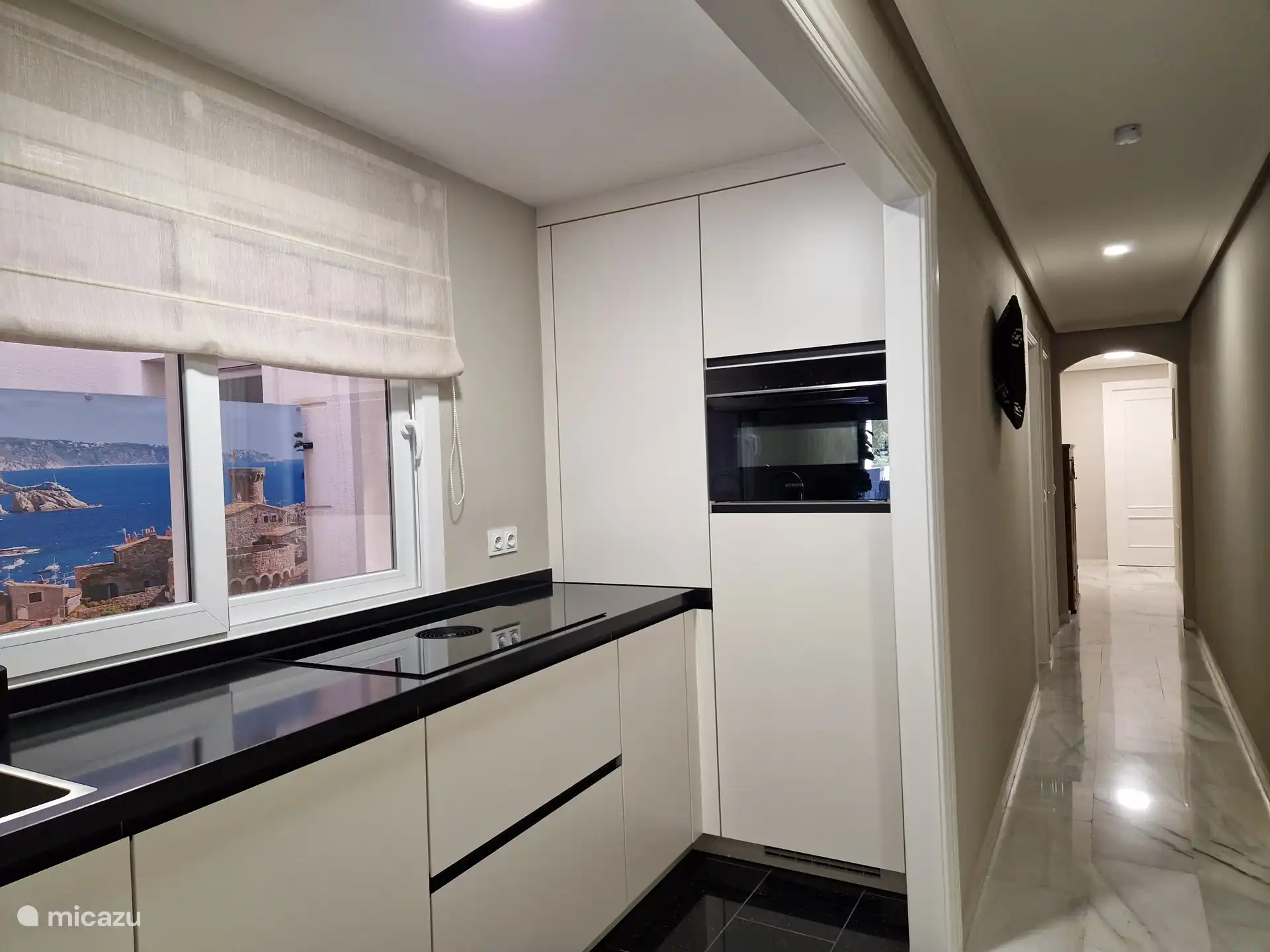 Cuisine moderne ouverte avec réfrigérateur + congélateur et micro-ondes Combi