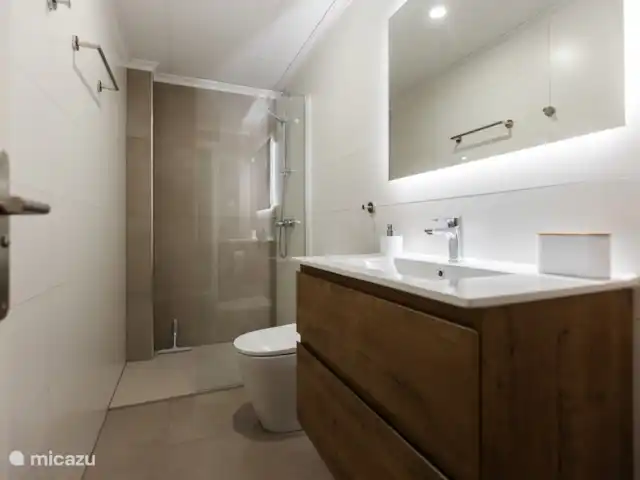appartement huren in Spanje, Costa Blanca, Calpe – Appartement Calpe Badkamer met inloopdouche en toilet en wastafel