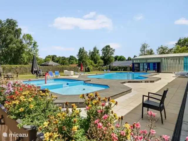 Moderne 6 pers. maison de vacances | Pays-Bas, Overijssel, Gramsbergen - maison de vacances Piscine extérieure saisonnière avec chaises longues relaxantes pour faire le plein de vitamine D.