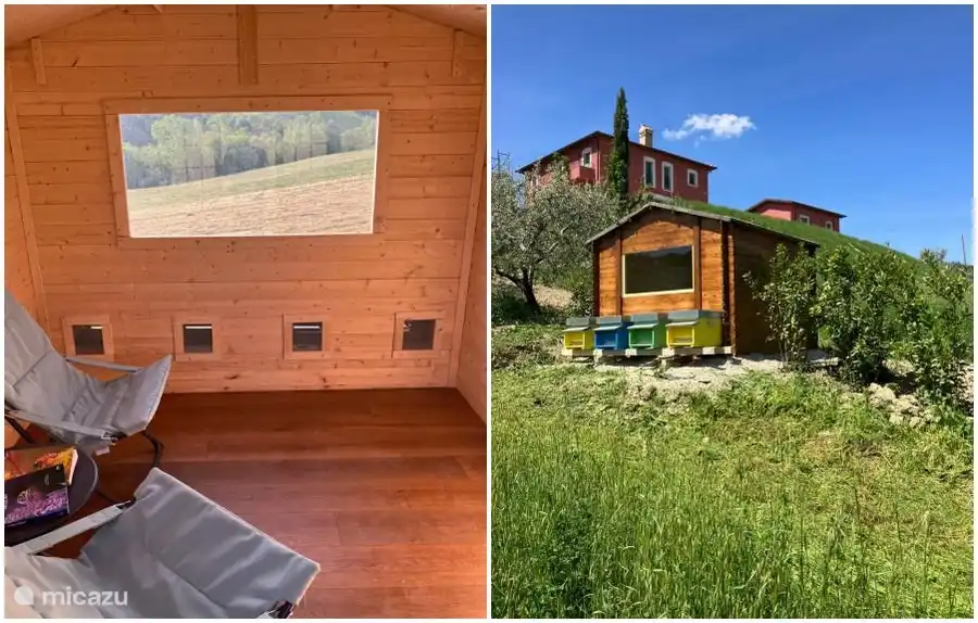 Wellness area / beehive