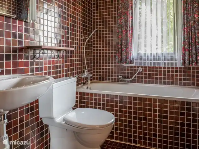 Polaris | Suisse, Valais, Bettmeralp - chalet Salle de bain avec bain/toilette/lavabo.