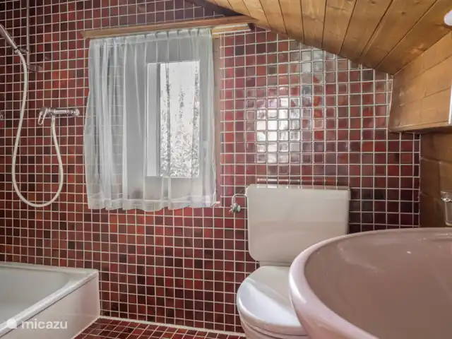 Polaris | Suisse, Valais, Bettmeralp - chalet Douche/toilette/lavabo.