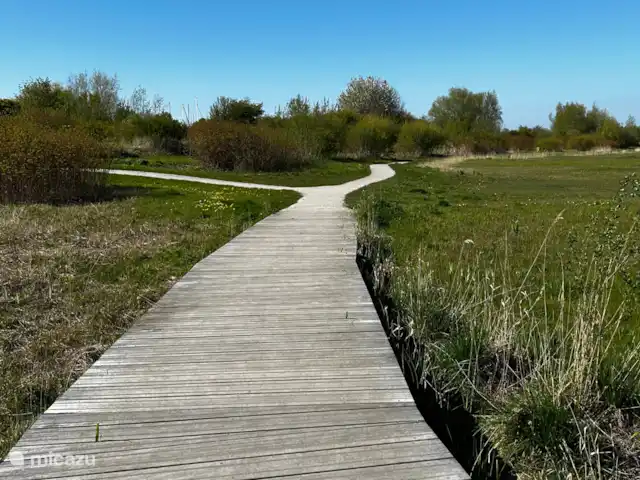 Beachvilla It Langezand huren in Nederland, Friesland, Makkum - villa Wandelgebied in Makkum.