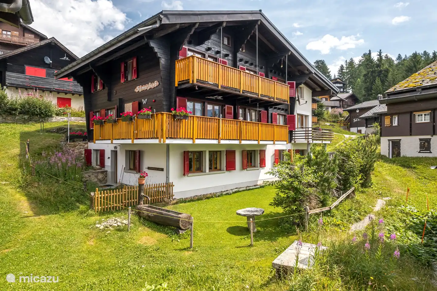 Kindvriendelijk, Zwitserland, Wallis, Bettmeralp, appartement zwarte jongen