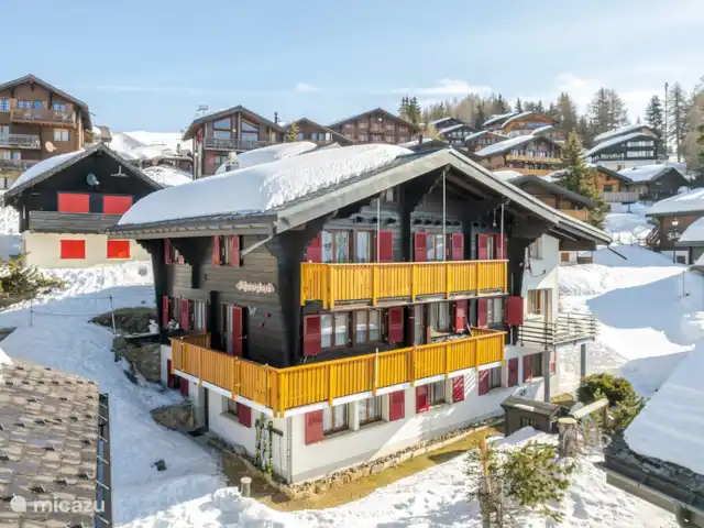 zwarte jongen huren in Zwitserland, Wallis, Bettmeralp - appartement Ons gezellige vakantieappartement bevindt zich op de begane grond van een traditioneel chalet in de directe omgeving van de piste (ca. 50 m). De ligging is rustig, maar winkels, restaurants en bars zijn op loopafstand.