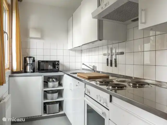 zwarte jongen huren in Zwitserland, Wallis, Bettmeralp - appartement De keuken is zeer goed uitgerust, zodat zelfs self-cateraars het plezier van koken niet hoeven te missen.