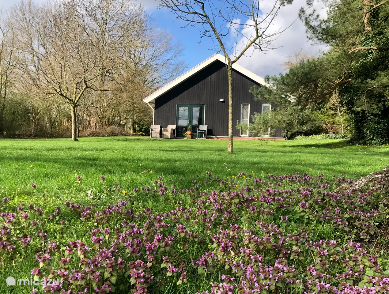 IJsselgoud in de lente