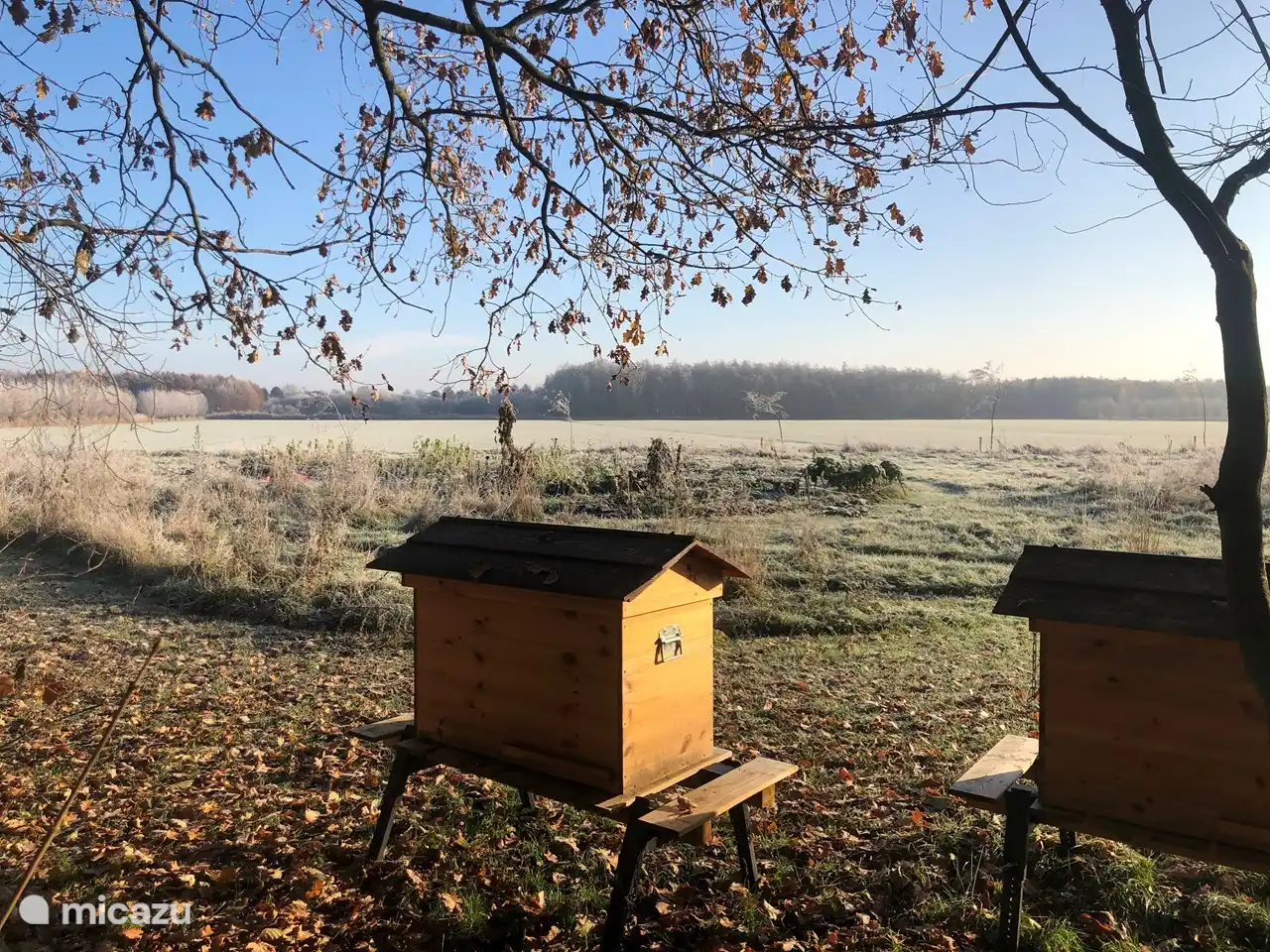 IJsselgoud bijenkasten