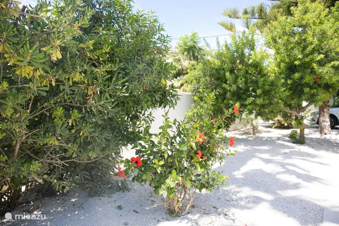 Außerhalb der Villa