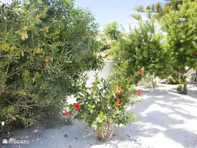 Villa Domingo | Espagne, Costa Blanca, Benissa - villa A l'extérieur de la villa