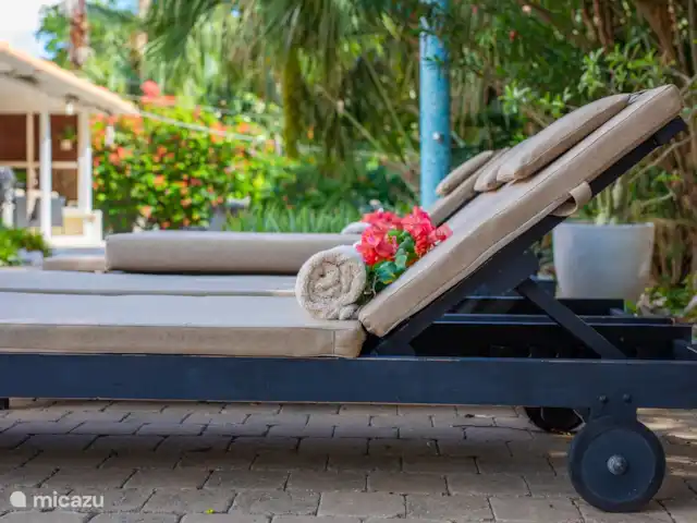 Casa Calina | Curaçao, Curaçao-Centre, Julianadorp - maison de vacances Transats