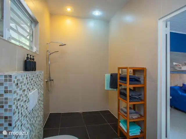 Casa Calina | Curaçao, Curaçao-Centre, Julianadorp - maison de vacances Grande salle de bain