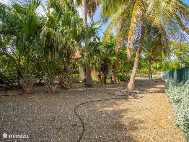 Casa Calina | Curaçao, Curaçao-Centre, Julianadorp - maison de vacances Jardin de devant