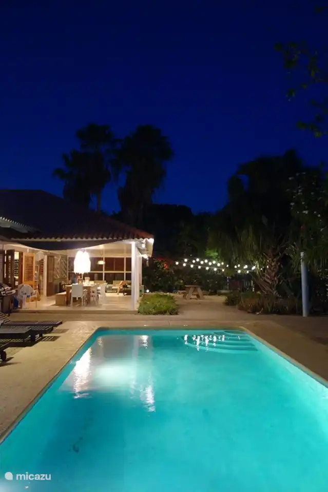 Photo de nuit de la piscine avec véranda.