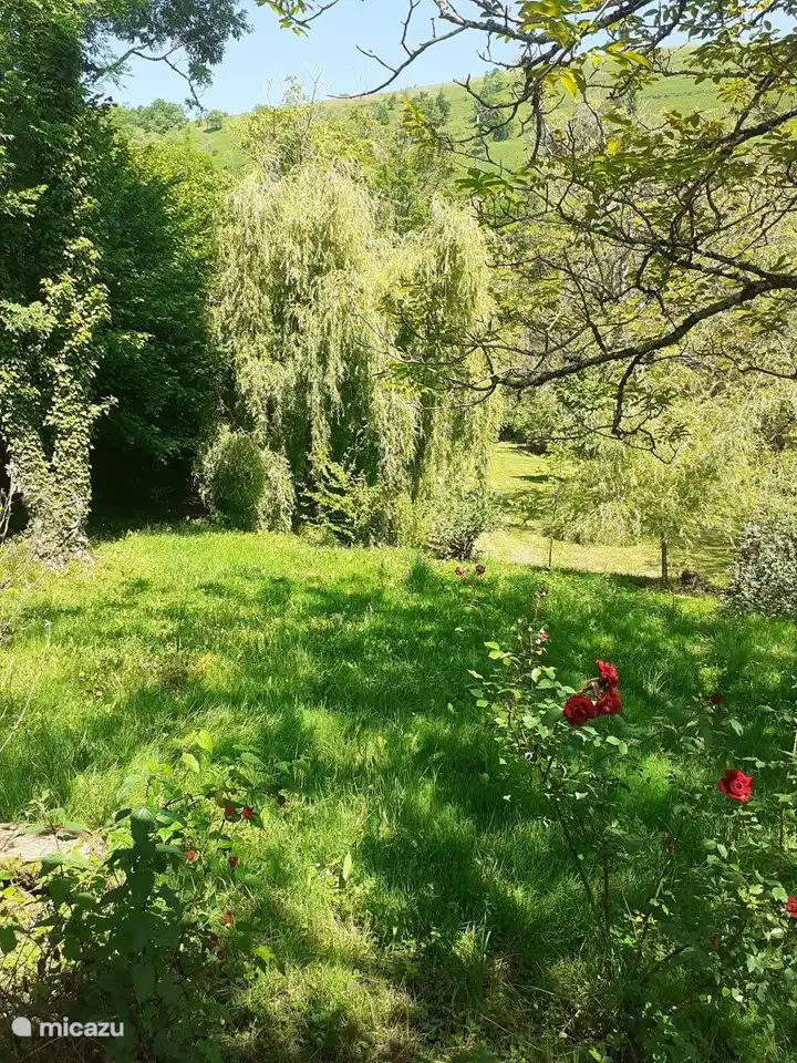 Uitzicht op de camping