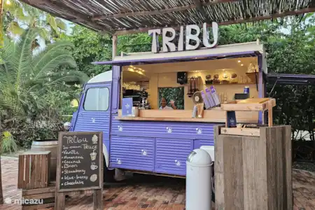 Tribu - Blue Bay