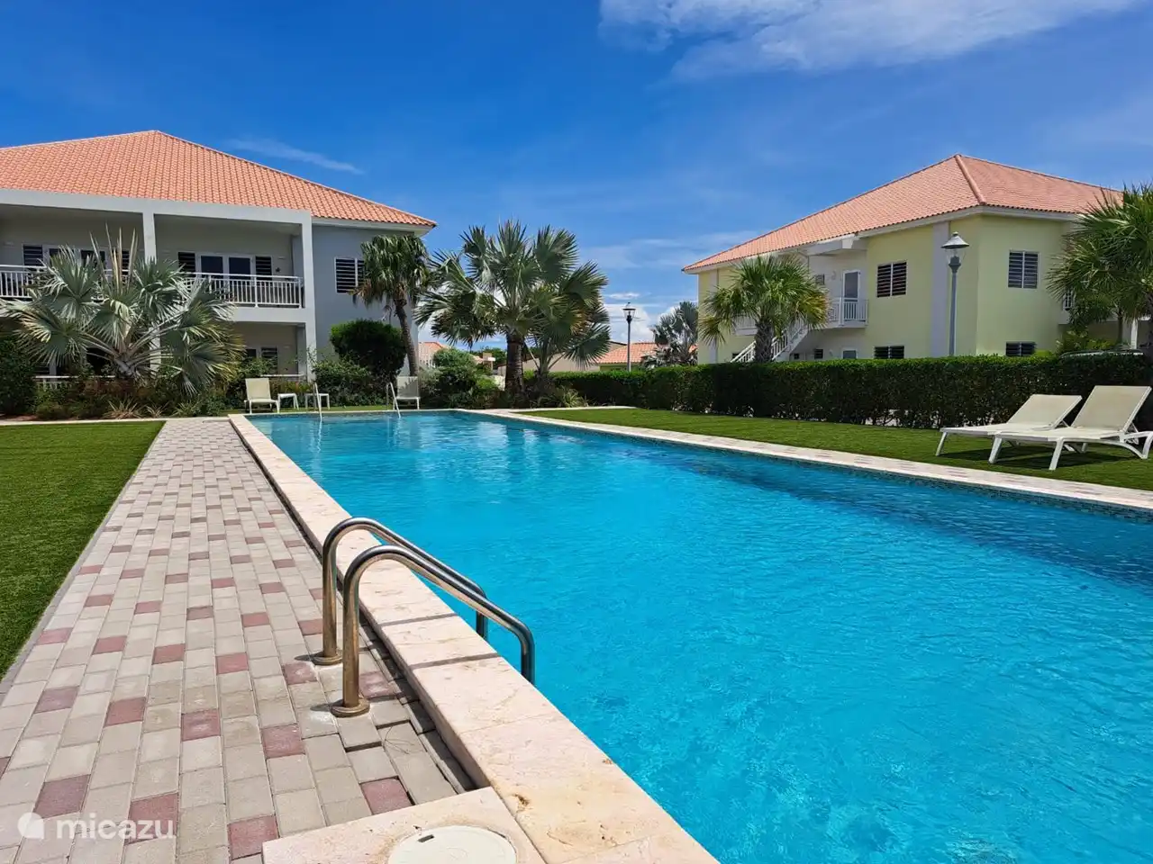 Der schöne Swimmingpool (20x5m) mit Sonnenliegen