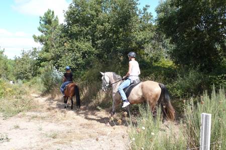 Horse riding in nature